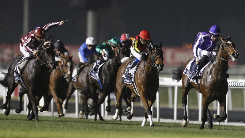 Gentildonna found only the ill-fated St Nicholas Abbey too good in last season's Sheema Classic