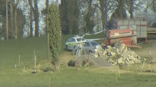Mr Timosejevs was found face down on a dirt track in a field near Swords