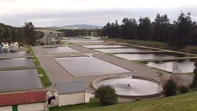 Full production is expected to be restored at the Roundwood Water Treatment plant