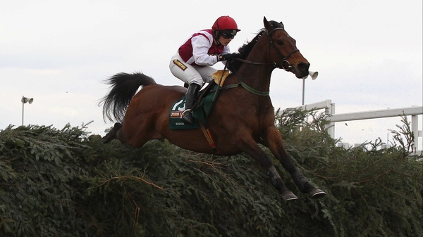 Seabass and Katie Walsh in action at last year's Aintree Grand National