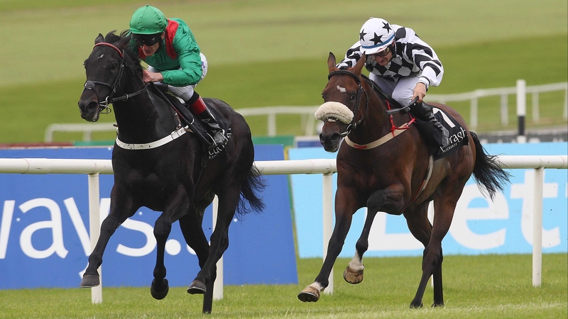 Orgilgo Bay (r) made a winning start to his jumping career at Punchestown in mid-October