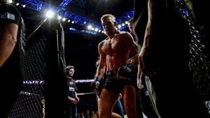 Conor McGregor would bring UFC to a much wider Irish audience in 2014