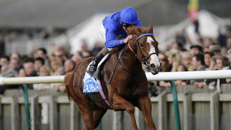 Dawn Approach is a best-price 12-1 for the Derby