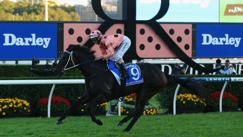 Black Caviar could return to Royal Ascot this season
