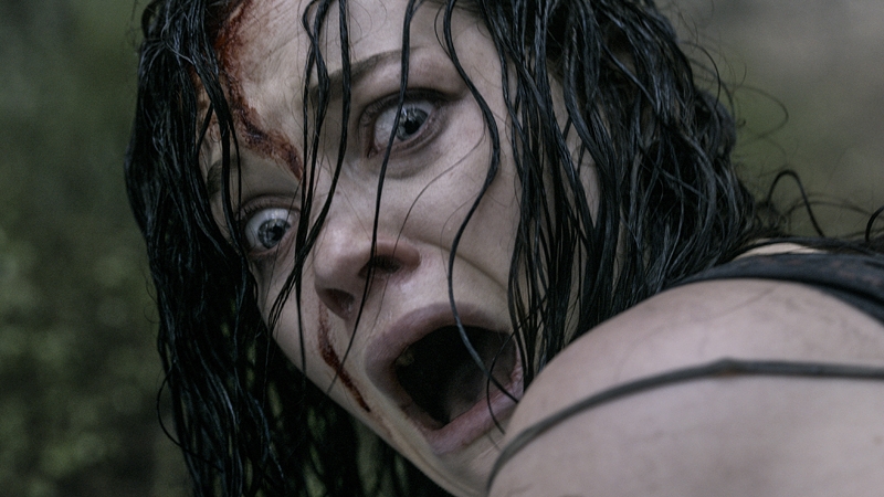 Levy in Evil Dead - Suffered for her art