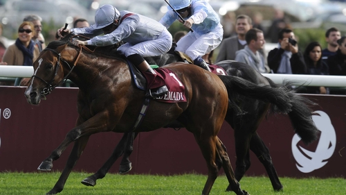 Olympic Glory was last seen winning the Prix Jean Luc Lagardere at Longchamp