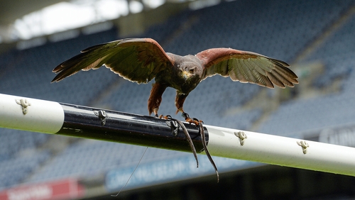 Hawk-Eye technology is set to be introduced at Croke Park this summer