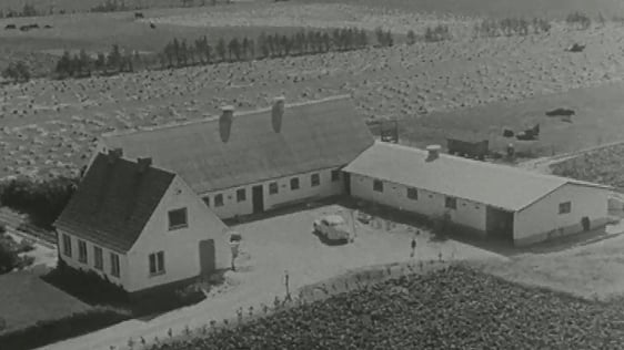 Danish Farming (1968)