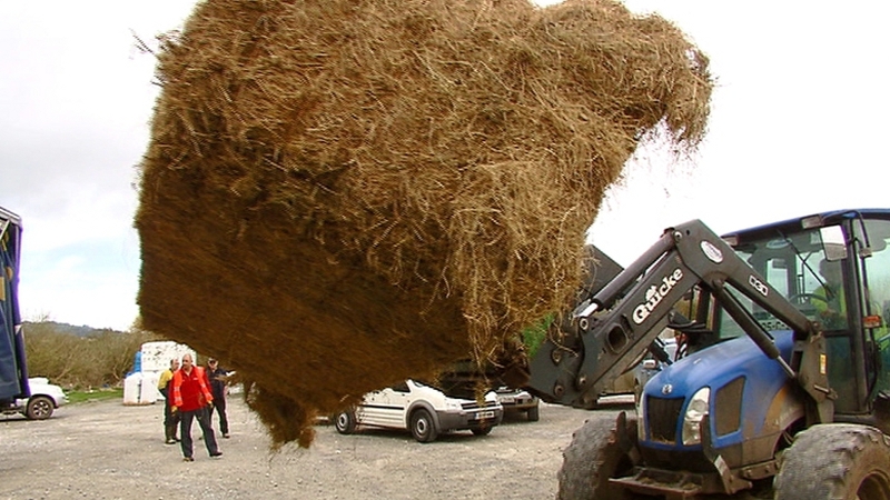 Thousands of farmers have run out of fodder supplies