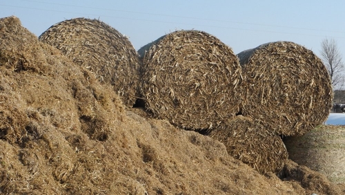 The warm weather helped most farmers build up good fodder supplies