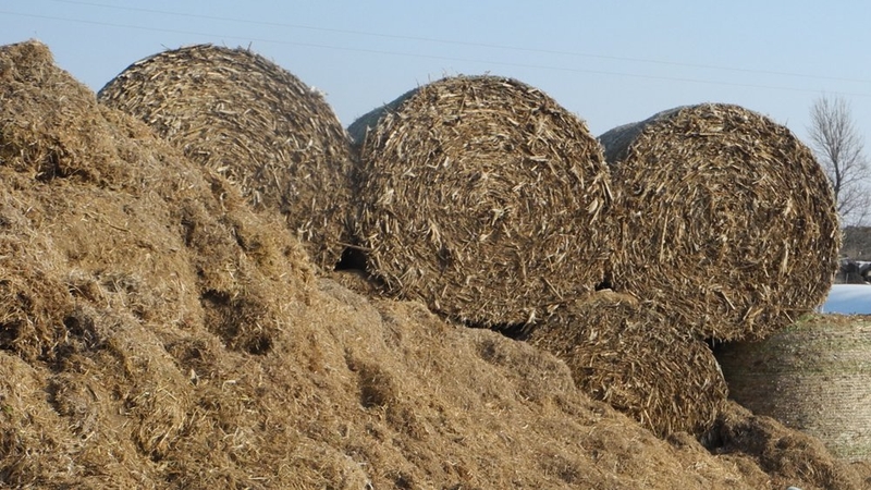 Farmers with extra fodder can register with their local office as can farmers who need to get extra feed on their farms