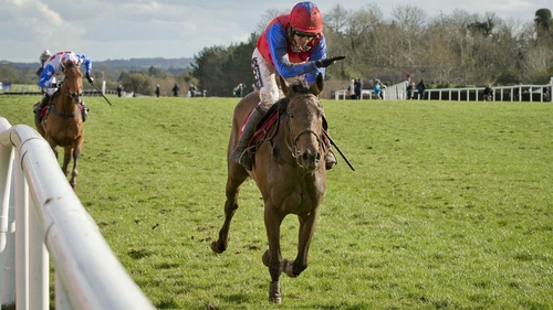 Quevega is chasing a fifth successive victory in the Ladbrokes World Series Hurdle
