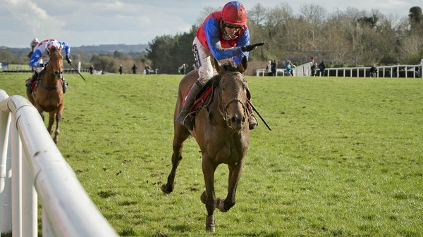 Quevega is chasing a fifth successive victory in the Ladbrokes World Series Hurdle