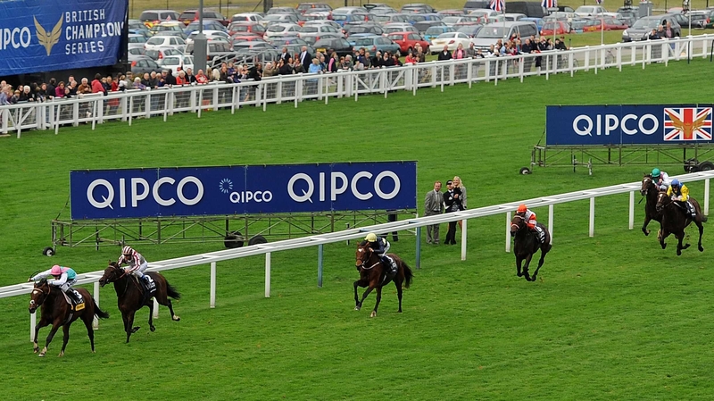 Cirrus Des Aigles chased home Frankel in last year's Champion Stakes
