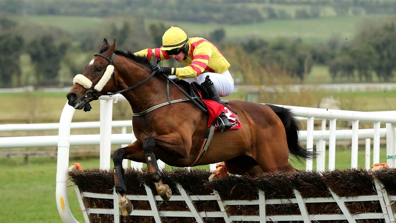 Davud Splaine partnered Beau Michael to victory at Punchestown