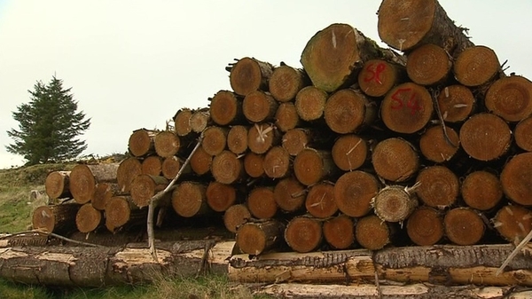 The industry is forecasting major growth in the coming years as the supply of raw material from Irish forests will double in the period 2017-2035