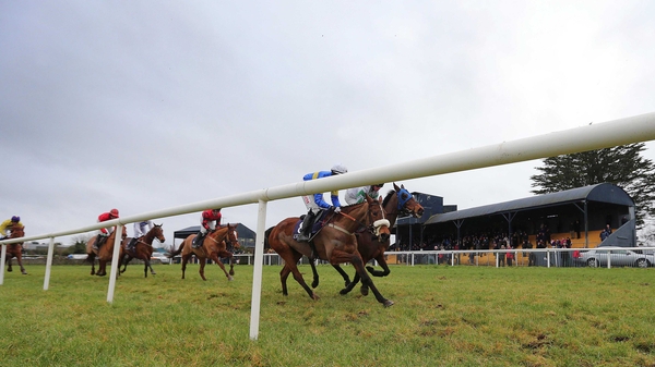 Ger Lyons' said if the ground at Tipperary is soft or heavy, Ainippe will 'probably give it a miss'