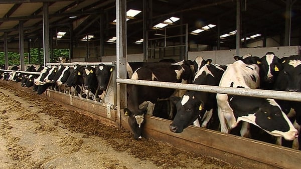 The co-ops suggested that a full merger could take place in the future with member approval