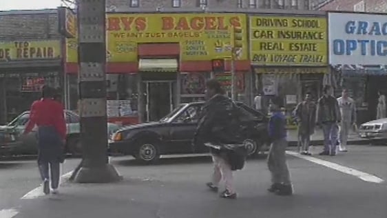 The Bronx