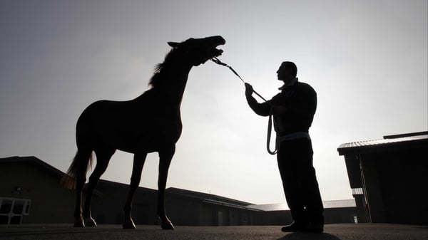 The British Horseracing Authority are advising trainers and are to make a decision on Friday's race meetings this evening