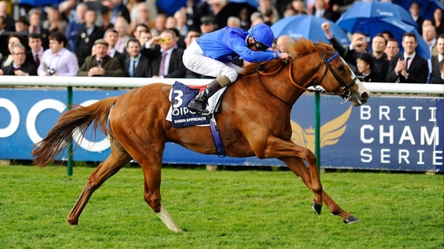 Dawn Approach finished second to old nemesis Toronado in the Sussex Stakes