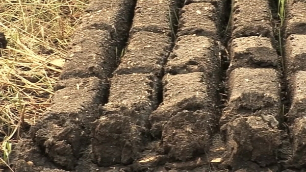 A ban on cutting turf is in place in 53 bogs, 13 of which are in Co Galway