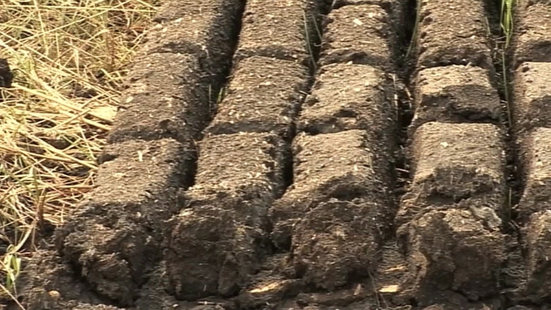 A ban on cutting turf is in place in 53 bogs, 13 of which are in Co Galway