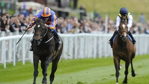 Magician has taken a somewhat unorthodox path to the Irish 2000 Guineas, kicking off his three-year-old campaign with victory in a recognised Derby trial