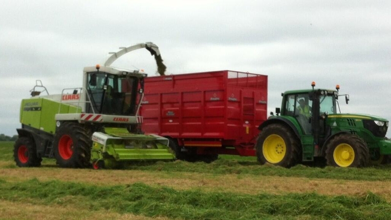 Airport authorities expect 50 acres per day will be cut