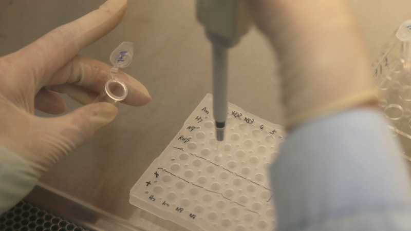 Projects will include the development of new cancer drugs and ways of detecting cognitive decline