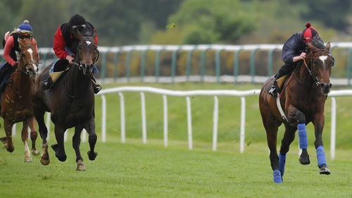 Telescope (r) having his racecourse gallop at Lingfield on Wednesday