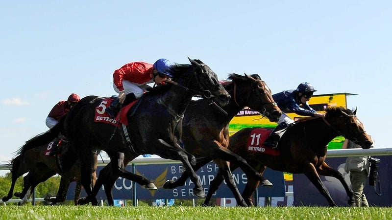 Kingsgate Native (near side) relished the quick conditions at Haydock