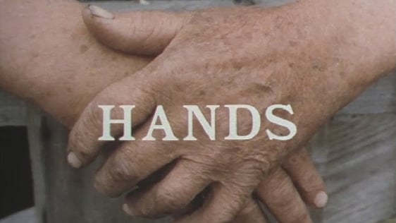 In Good Hands David Shaw-Smith