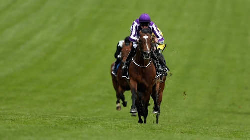 Coolmore say St Nicholas Abbey was 'comfortable' and 'walking as well as can be expected'