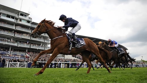 Aidan O'Brien's Ruler of the World has already won a classic this season, the English Derby