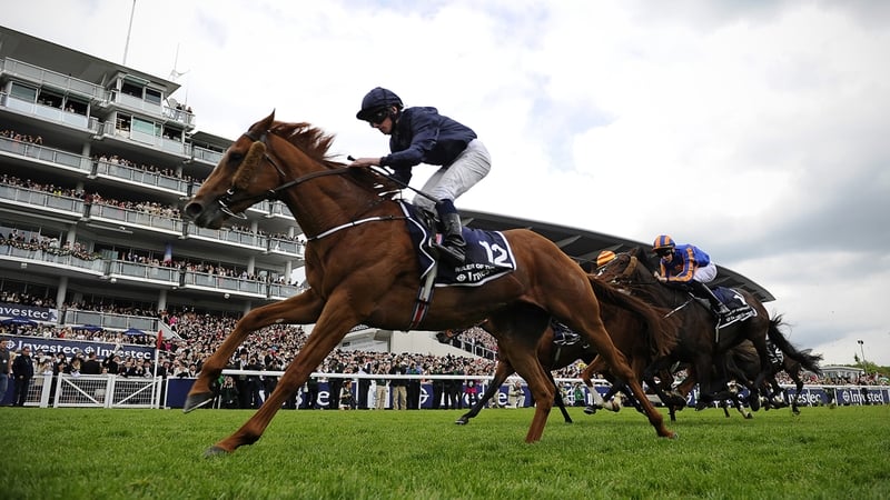 Ruler Of The World may run in Saturday's Qipco Champion Stakes at Ascot