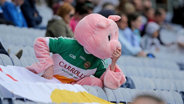 An Offaly fan during the Faithful County's Leinster SFC defeat to Kildare in Croke Park
