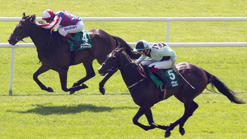 Midnight Soprano is the sole Irish representative at Haydock