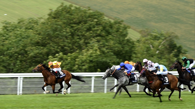 Saddler's Rock last win came in the 2012 Artemis Goodwood Cup