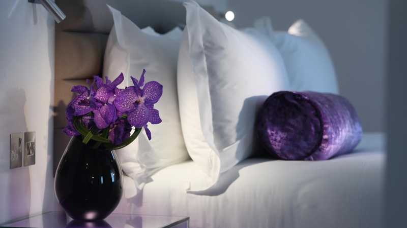 Morrison Hotel overnight stay to giveaway