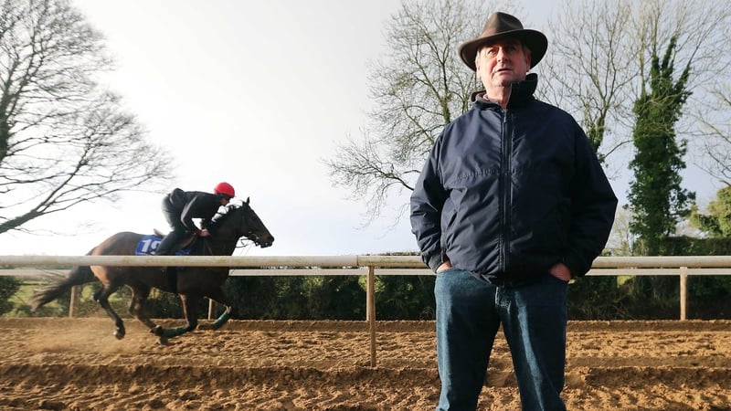 Noel Meade is considering sending Waxies Dargle to Ascot