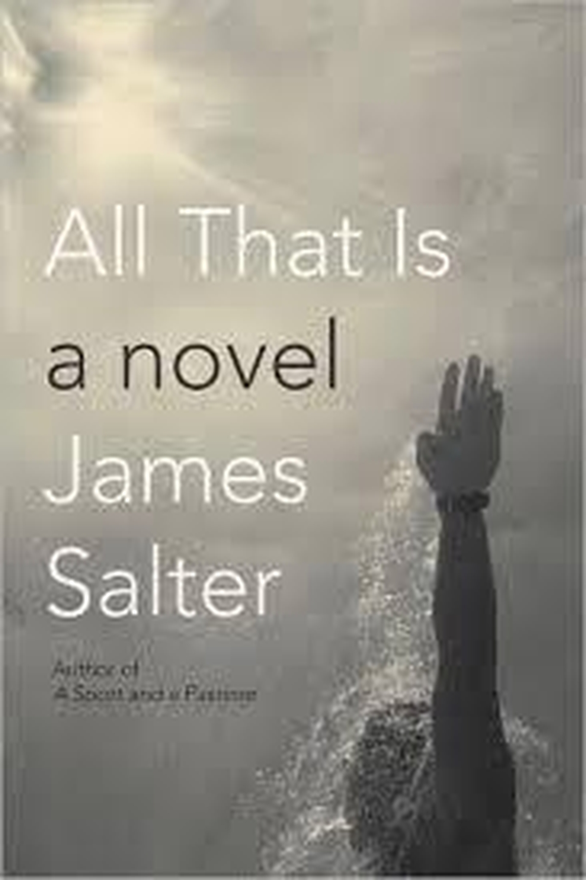 Author James Salter 