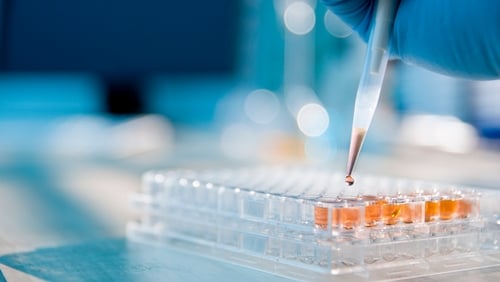 High-tech and chemical production saw significant growth last month