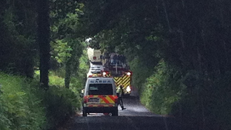 Emergency services are at the scene of the collision in Co Wicklow