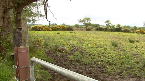 The man in his 60s was pronounced dead at the scene