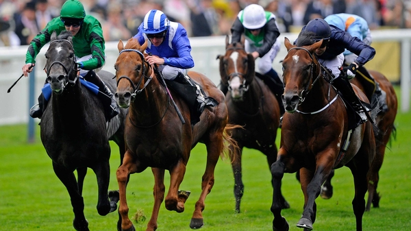 Declaration Of War (r) was victorious in the opening race of the festival