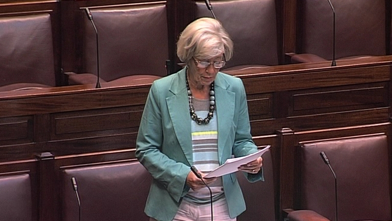 Fine Gael TD Olivia Mitchell said that nobody’s aspirations are being satisfied by the current laws