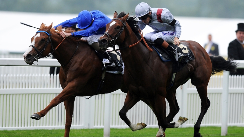 Dawn Approach finished a short heat in front of Toronado at Royal Ascot