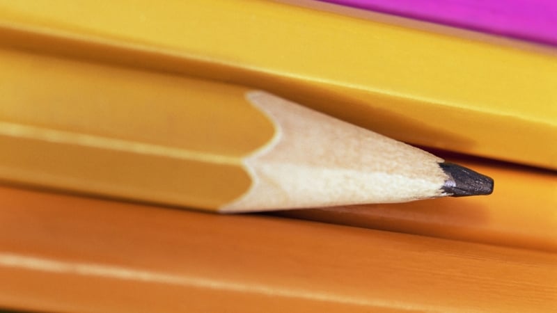 The National Council for Special Education said the number of students in need of supports will increase by more than 10%