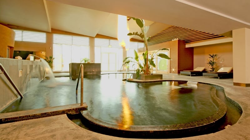 Dunboyne Castle Hotel's Thermal Pool at the Seoid Spa